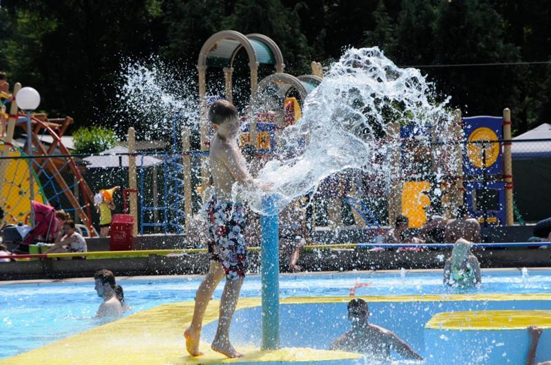 Vakantiepark Wilhelm Tell Superieur Chalet Opglabbeek Kültér fotó