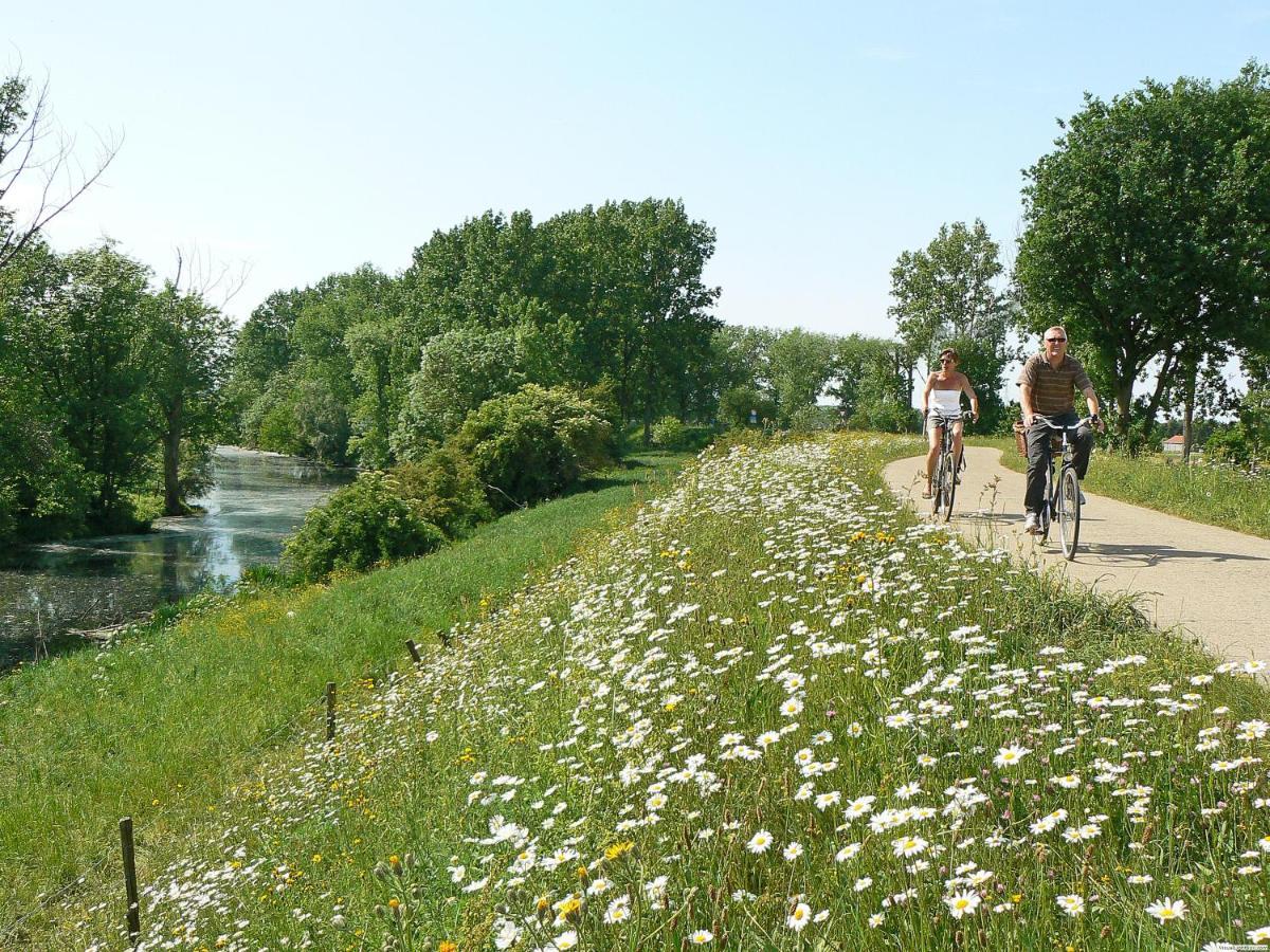 Vakantiepark Wilhelm Tell Superieur Chalet Opglabbeek Kültér fotó
